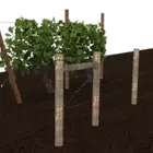 DPAK6